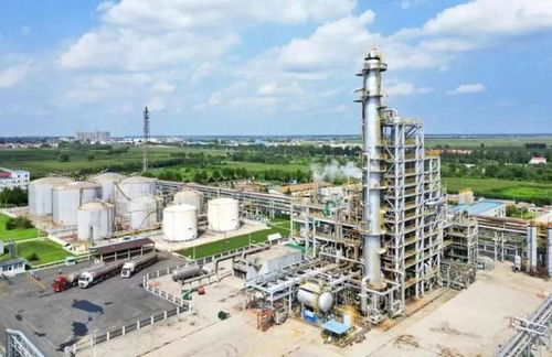 香港大亨 狙擊 碧桂園 身價(jià)990億,他才是房地產(chǎn)巨頭背后金主